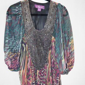 The Colorful Dress With Silver Design